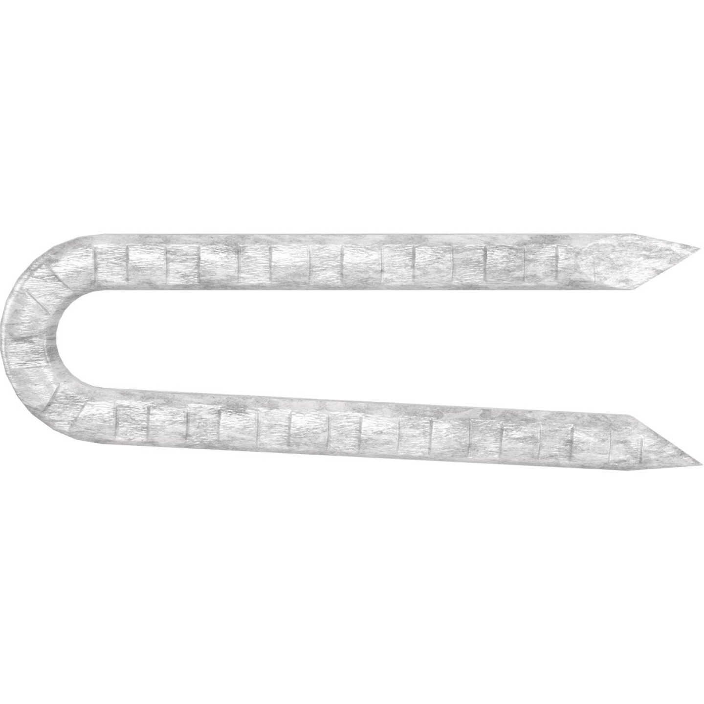 Grip-RIte 1-1/2 In. 9 ga Hot Galvanized Fence Staple (67-Count) Image 3