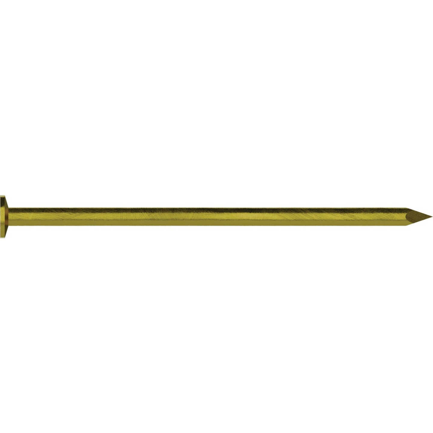 Grip-Rite 3-1/4 In. 16d x 9 ga Smooth Shank Checkered Head Vinyl Coated Sinker Nail (50 Lb.) Image 1