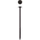 SPAX PowerLags 5/16 In. x 6 In. T40 Washer Head HCR (Exterior Rated) Lag Screw (50-Count) Image 1