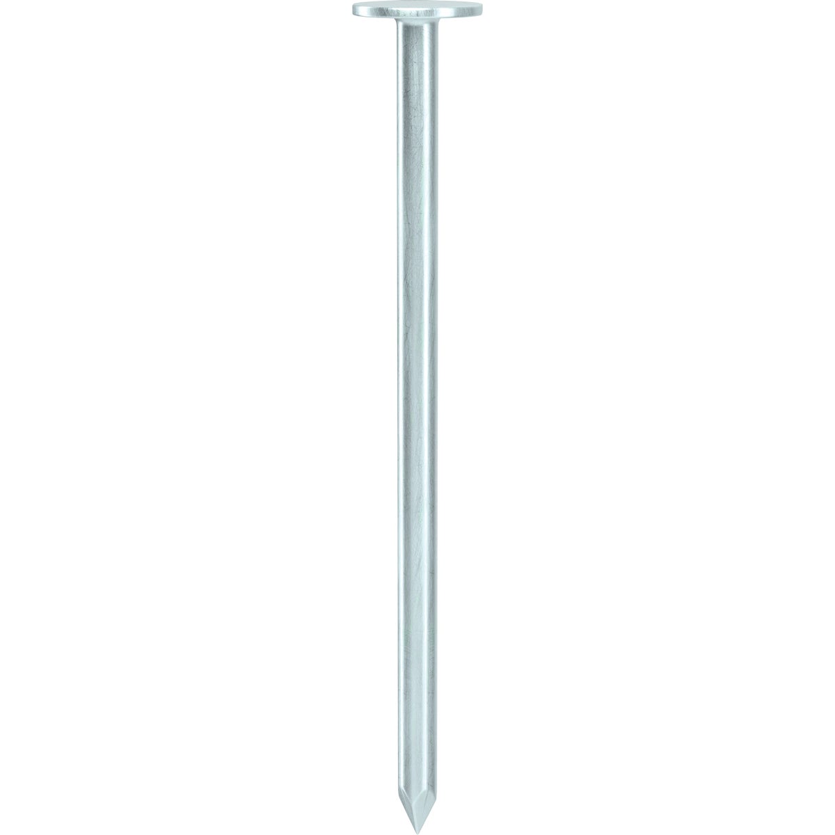 Grip-Rite 2-1/2 In. x 11 ga Smooth Shank Electrogalvanized Steel Roofing Nail (50 Lb.)