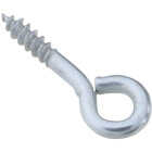 National Hardware #214 Zinc Small Screw Eye (10-Count) Image 1