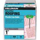 Hillman Fas-n-Tite 1 In. Electrogalvanized Plastic Cap Roofing Nails (250-Count) Image 1
