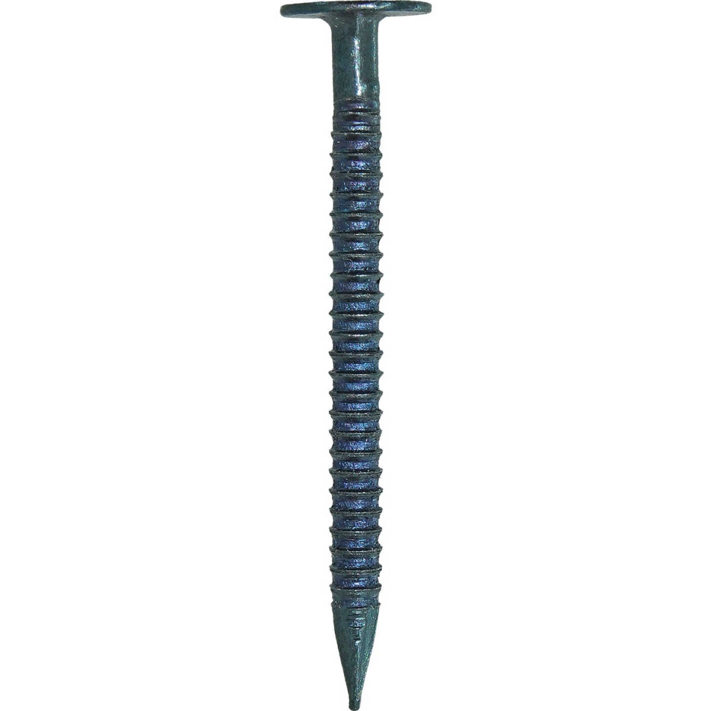 Grip-Rite 1-3/8 In. x 12-1/2 ga Ring Shank Flat Head Blued Steel Plasterboard Nail (1 Lb.) Image 1