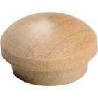 Do it Oak 1/2 In. Mushroom Plug (15-Count) Image 1