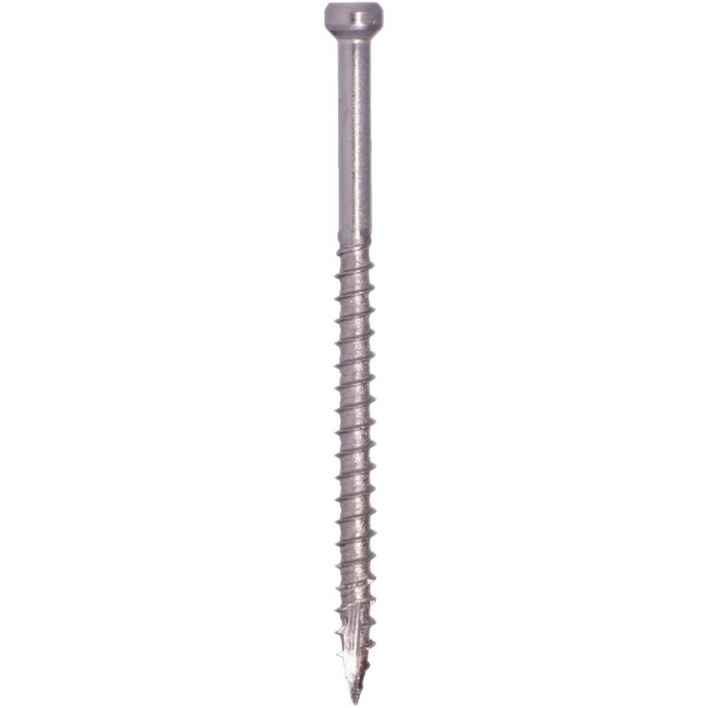 GRK #8 x 3-1/8 In. Star Drive Stainless Steel Trim Screw (385-Count) Image 3