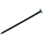 Grip-Rite 2-1/4 In. 7d x 12.5 ga Bright Smooth Shank Steel Box Nail (50 Lb.) Image 1