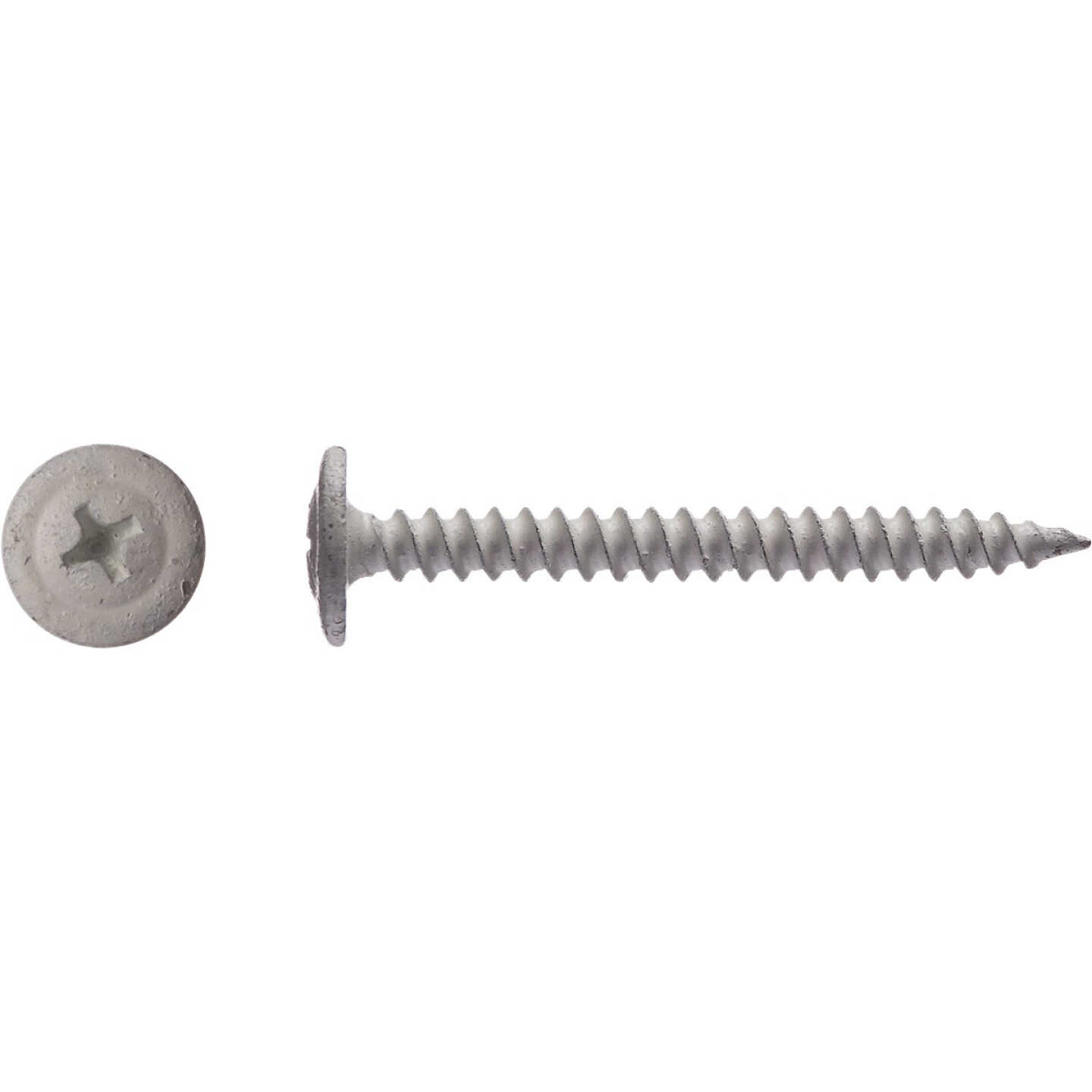 Big Timber #8 x 1-5/8 In. White Modified Truss Head Sharp Point Wood Screw (1 Lb.) Image 2
