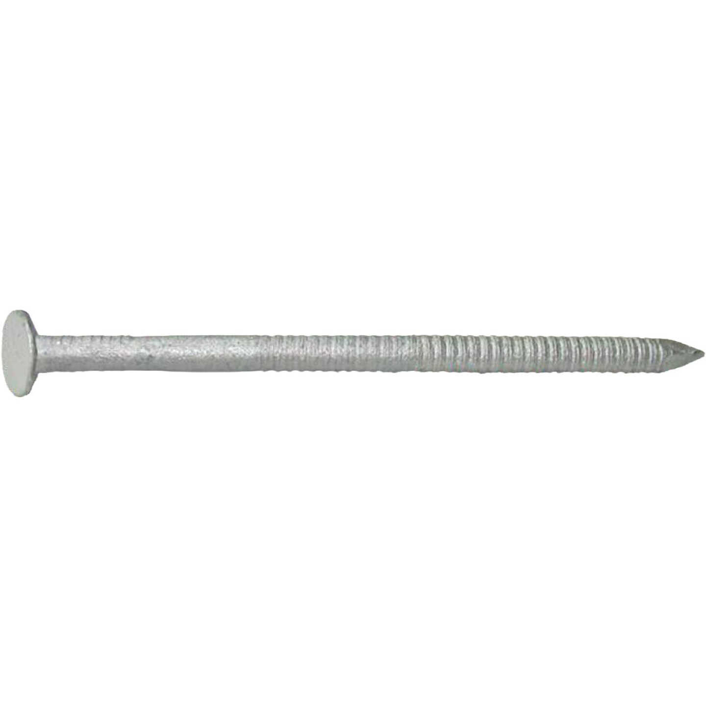 Grip-Rite 2-1/2 In. x 11 ga x 8d Hot Galvanized Ring Shank Deck Nails (530-Count) Image 1