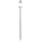SPAX PowerTrim #8 x 2 In. T10 Plus Cylindric Head HCR (Exterior Rated) White Trim Screw (100-Count) Image 5