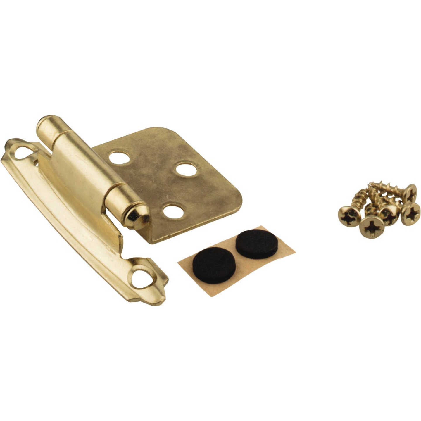 KasaWare Polished Brass Self-Closing Overlay Hinge (2-Pack) Image 1
