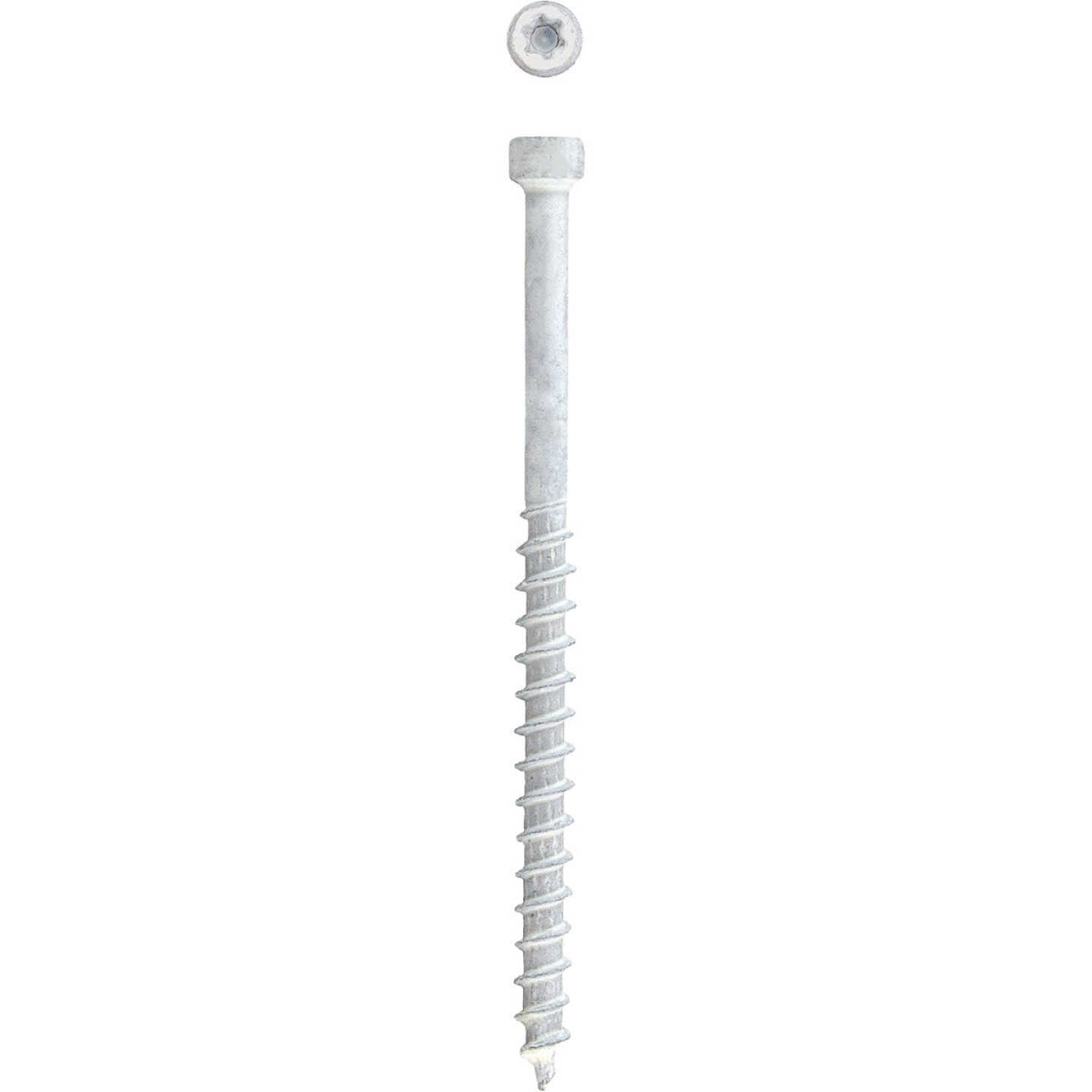 SPAX PowerTrim #8 x 2-1/2 In. T10 Plus Cylindric Head HCR (Exterior Rated) White Trim Screw (100-Count) Image 6