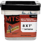 Big Timber #8 x 1 In. White Modified Truss Head Sharp Point Wood Screw (1 Lb.) Image 1