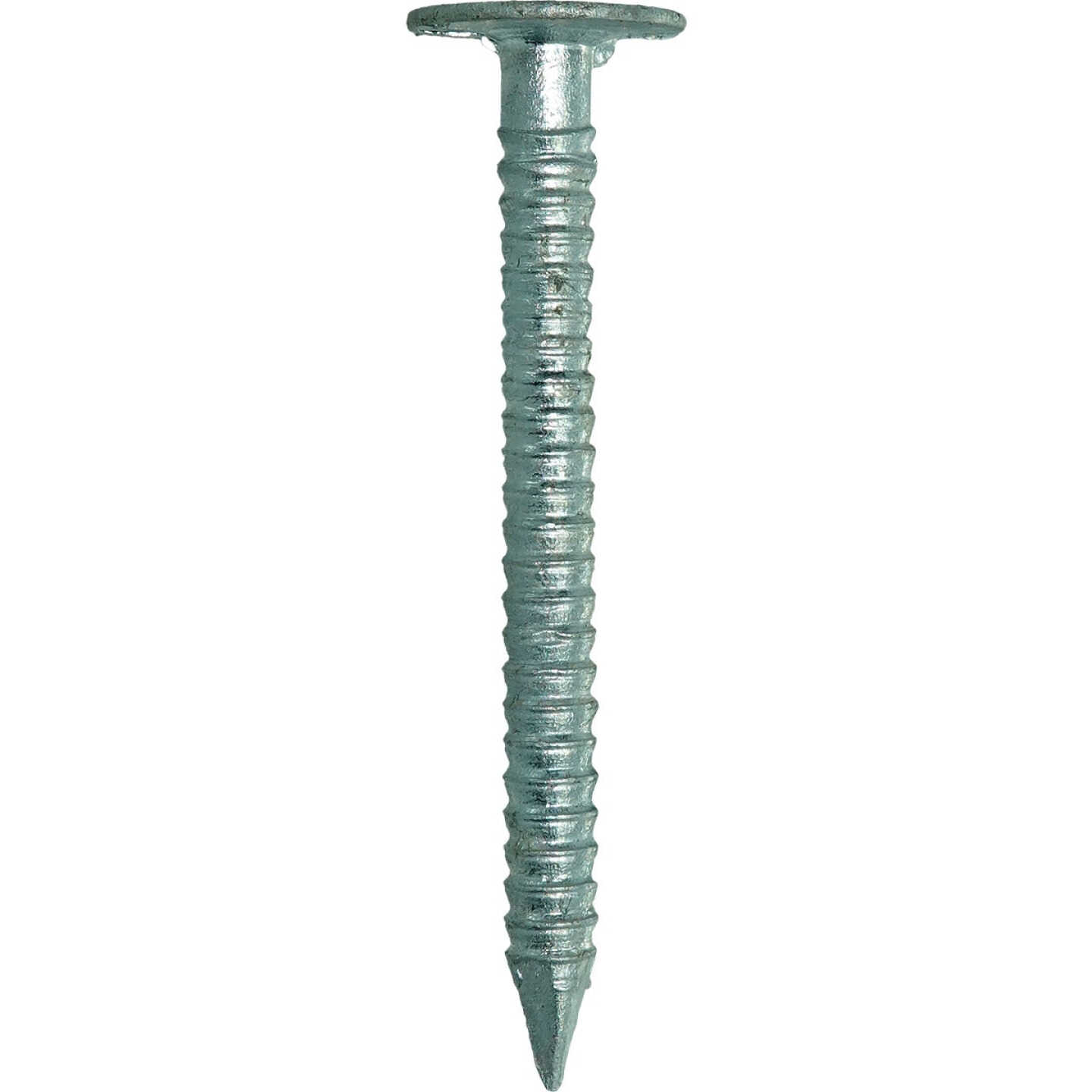 Grip-Rite 1-5/8 In. x 12-1/2 ga Bright Ring Shank Drywall Nails (1475-Count) Image 1