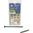 Grip-Rite PrimeGuard Plus 5/16 In. x 5 In. Flat Washer Head Structure Screw (25-Count) Image 1