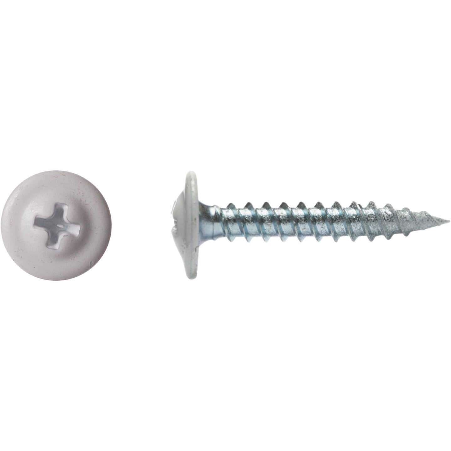 Big Timber #8 x 3/4 In. White Modified Truss Head Sharp Point Wood Screw (1 Lb.) Image 2