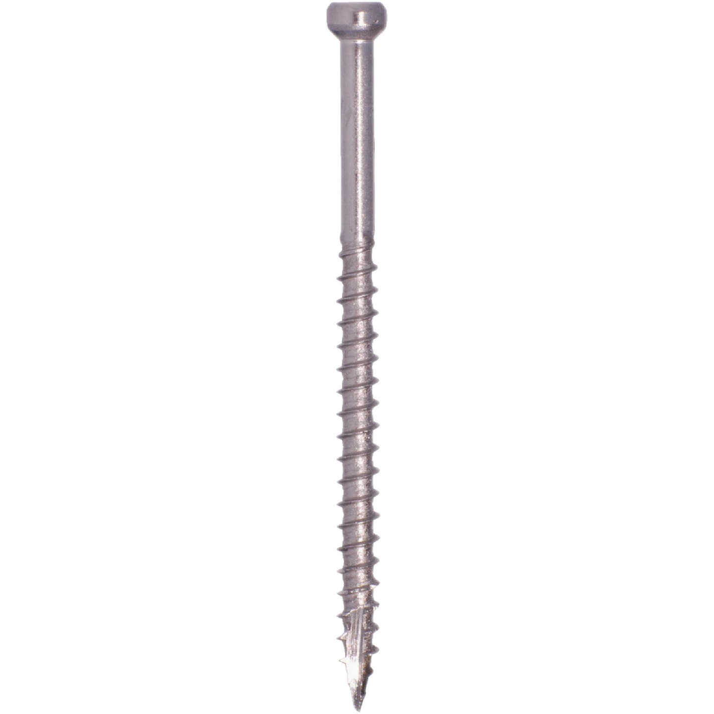 GRK #8 x 3-1/8 In. Star Drive Stainless Steel Trim Screw (100-Count) Image 3