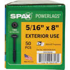 SPAX PowerLags 5/16 In. x 8 In. T40 Washer Head HCR (Exterior Rated) Lag Screw (50-Count) Image 5