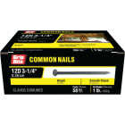 Grip-Rite 3-1/4 In. x 9 ga x 12d Bright Common Nails (61-Count) Image 2