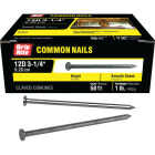 Grip-Rite 3-1/4 In. x 9 ga x 12d Bright Common Nails (61-Count) Image 1