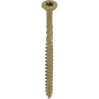 GRK Deck Elite #8 x 2 In. Star Drive Bugle-Head Deck Screw (1080-Count) Image 5