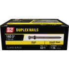Grip-Rite 3 In. x 16d Bright Duplex Framing Nails (43-Count) Image 2