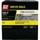 Grip-Rite 3 In. x 16d Bright Duplex Framing Nails (213-Count) Image 1