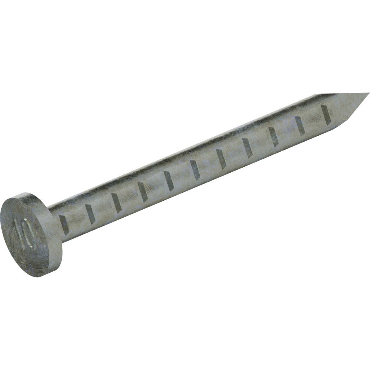 Grip-Rite 1-1/2 In. 9 ga Hot Galvanized Joist Nails (605-Count) Image 4