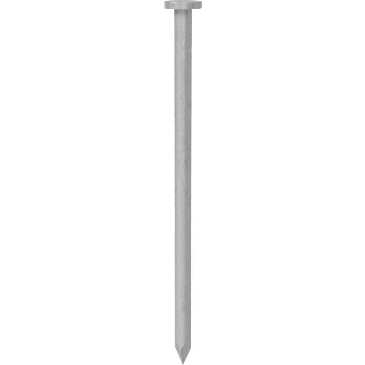 Grip-Rite 4 In. x 6 ga x 20d Hot Galvanized Common Nails (29-Count) Image 3