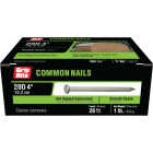 Grip-Rite 4 In. x 6 ga x 20d Hot Galvanized Common Nails (29-Count) Image 2