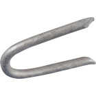 Hillman Fas-n-Tite 1-1/2 In. Hot Dipped Galvanized Fence Staples (5 Lb.) Image 1