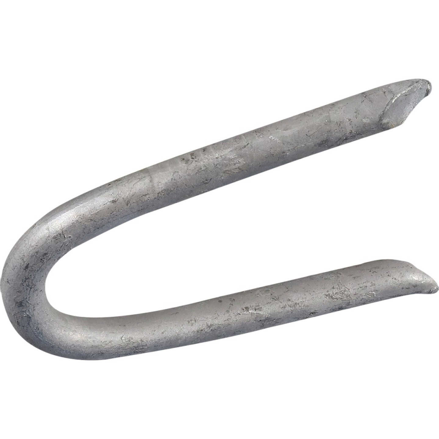 Hillman Fas-n-Tite 1-1/2 In. Hot Dipped Galvanized Fence Staples (5 Lb.) Image 1