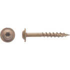 Big Timber #7 x 1-1/4 In. Star Drive Weather Stripping Sandstone Wood Screw (1 Lb.) Image 2