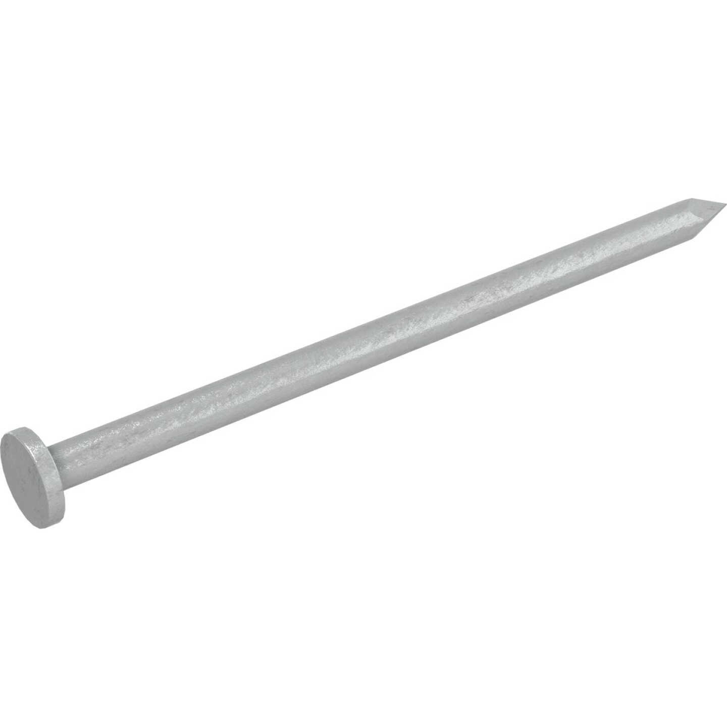 Grip-Rite 2-1/2 In. x 10-1/2 ga x 8d Hot Galvanized Common Nails (101-Count) Image 2