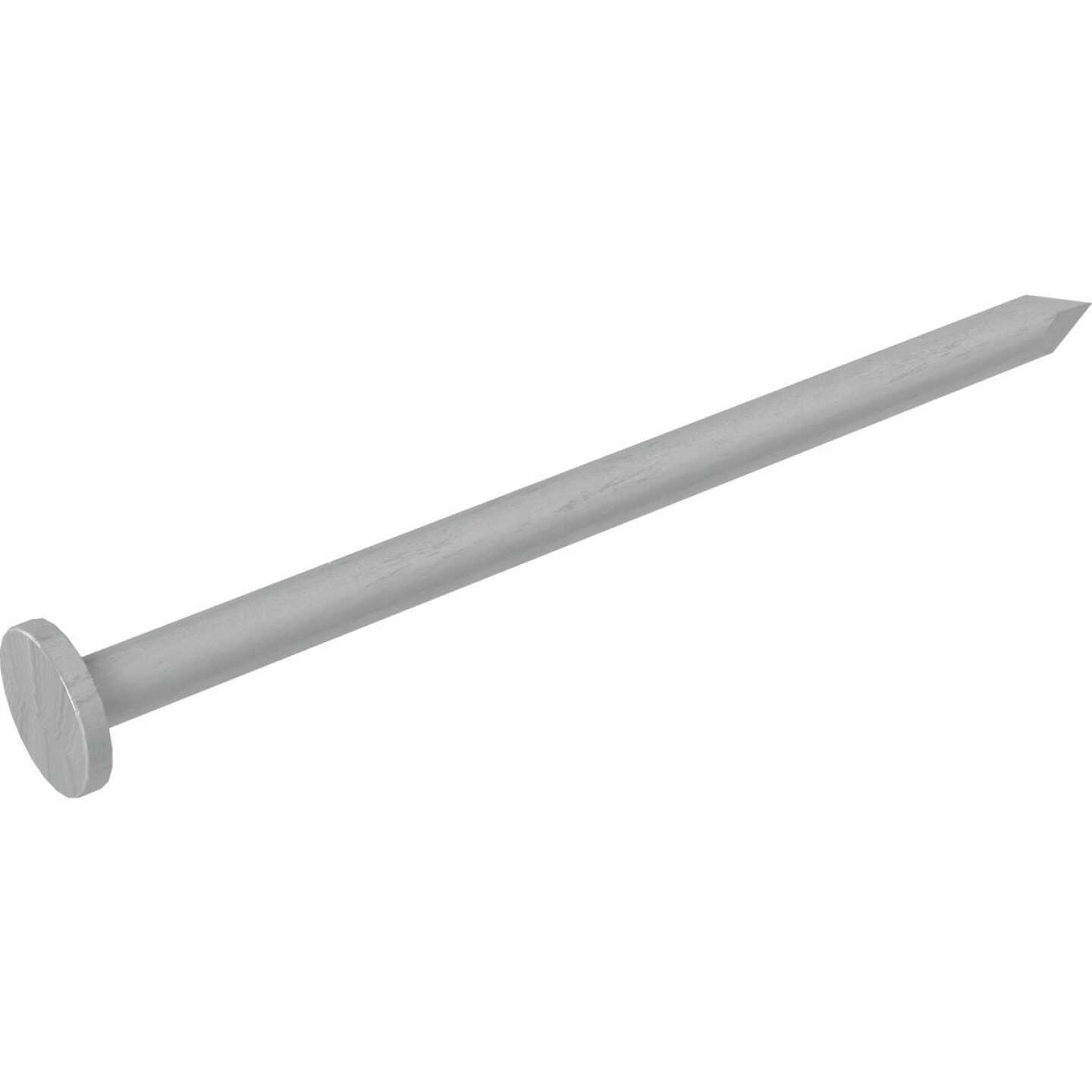 Grip-Rite 2 In. x 11-1/2 ga x 6d Hot Galvanized Common Nails (167-Count) Image 3
