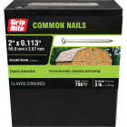 Grip-Rite 2 In. x 11-1/2 ga x 6d Hot Galvanized Common Nails (835-Count) Image 2