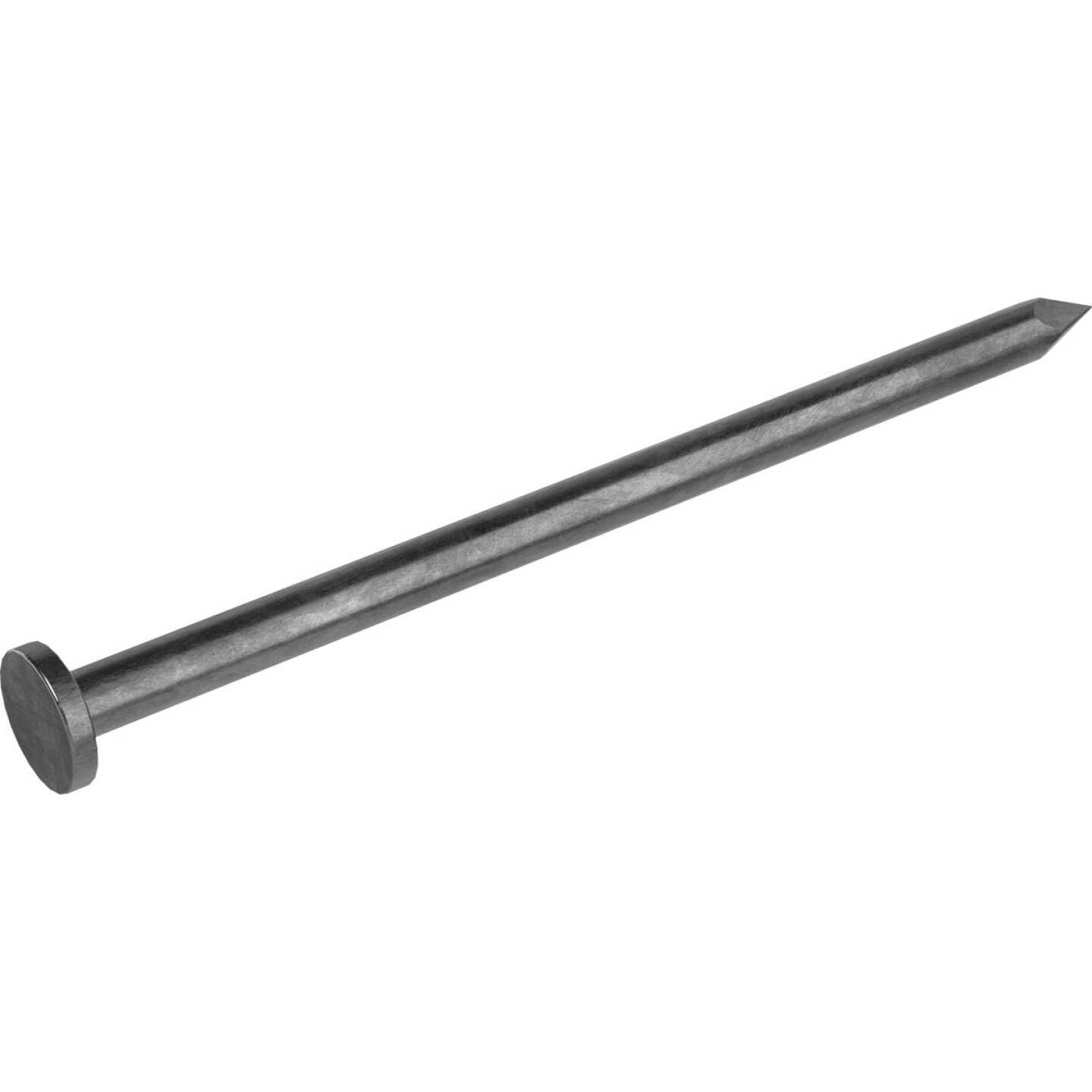 Grip-Rite 2-1/2 In. x 10-1/2 ga x 8d Bright Common Nails (101-Count) Image 4