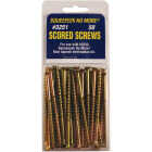 Counter-Snap Squeek No More Replacement Screw Repair Kit (50-Count) Image 1