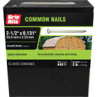 Grip-Rite 2-1/2 In. x 10-1/2 ga x 8d Hot Galvanized Common Nails (505-Count) Image 2