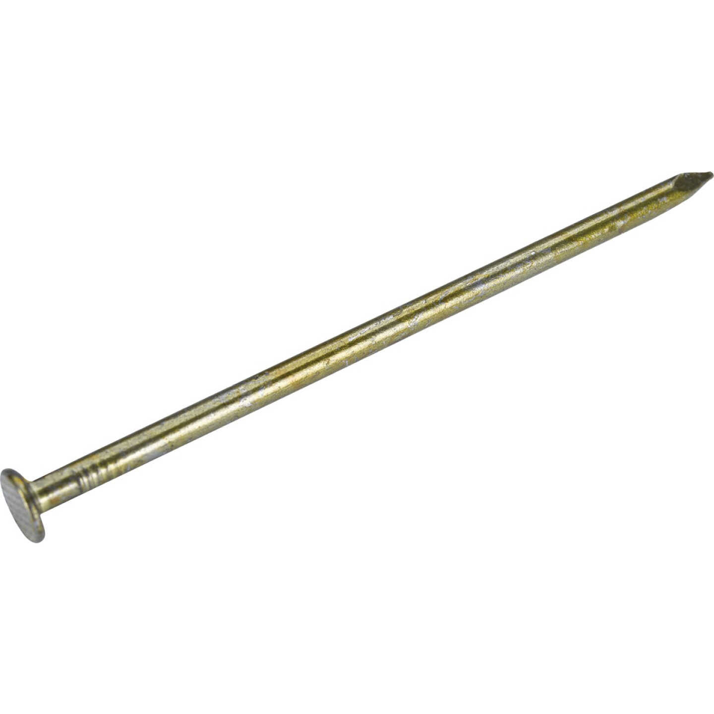 Grip-Rite 2-7/8 In. x 11 ga x 10d Coated Sinker Framing Nails (555-Count) Image 1