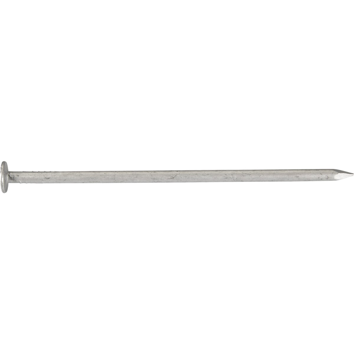Grip-Rite 4 In. 20d x 9 ga Hot Dipped Galvanized Steel Box Nail (50 Lb.) Image 1