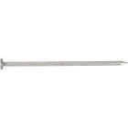 Grip-Rite 4 In. 20d x 9 ga Hot Dipped Galvanized Steel Box Nail (50 Lb.) Image 1