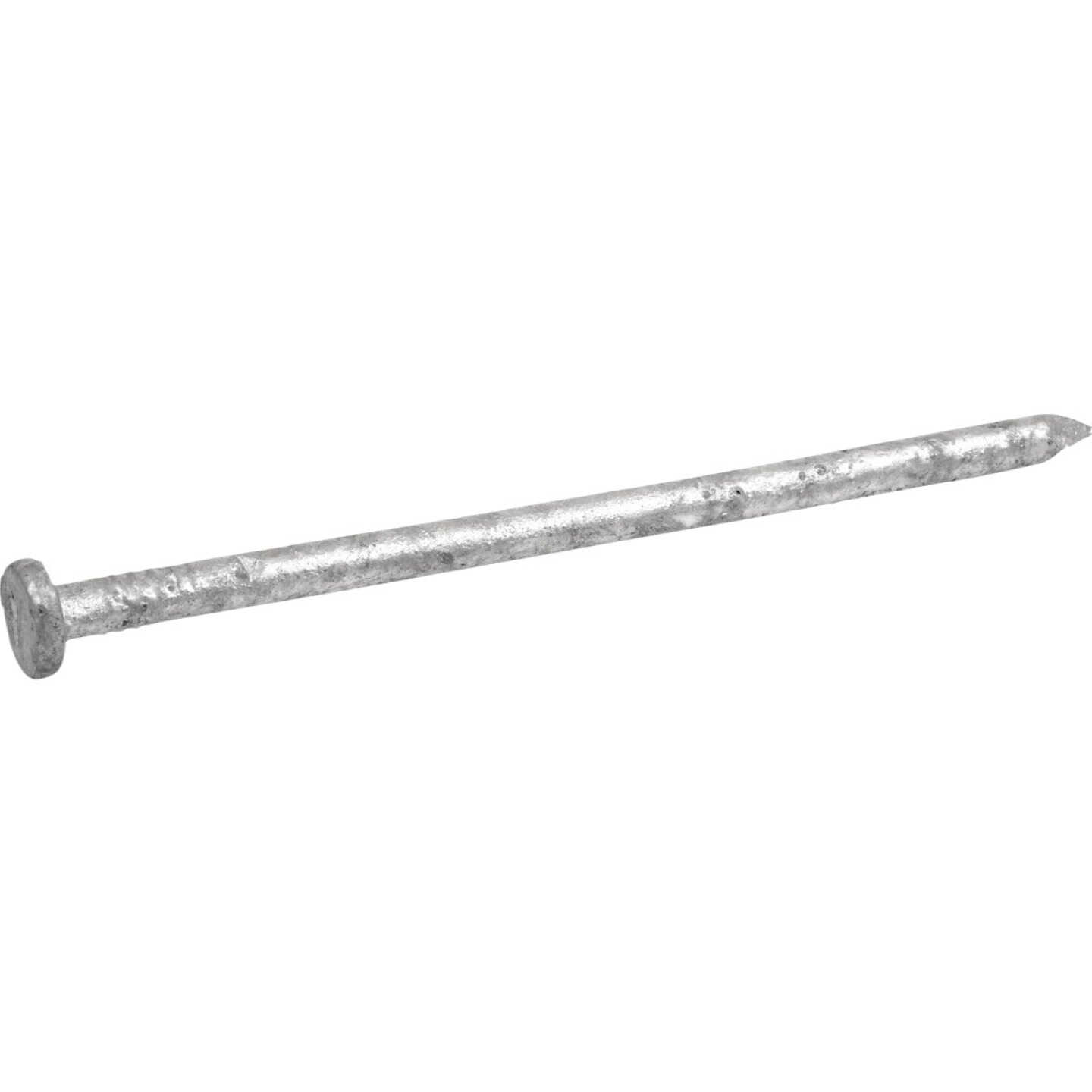 Hillman Fas-n-Tite 8 In. Hot Dipped Galvanized Common Spikes (18-Count) Image 2