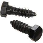 National Hardware Structural Lag Screw (12-Count) Image 1