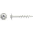 Big Timber #7 x 1-1/4 In. Star Drive Weather Stripping White Wood Screw (1 Lb.) Image 2