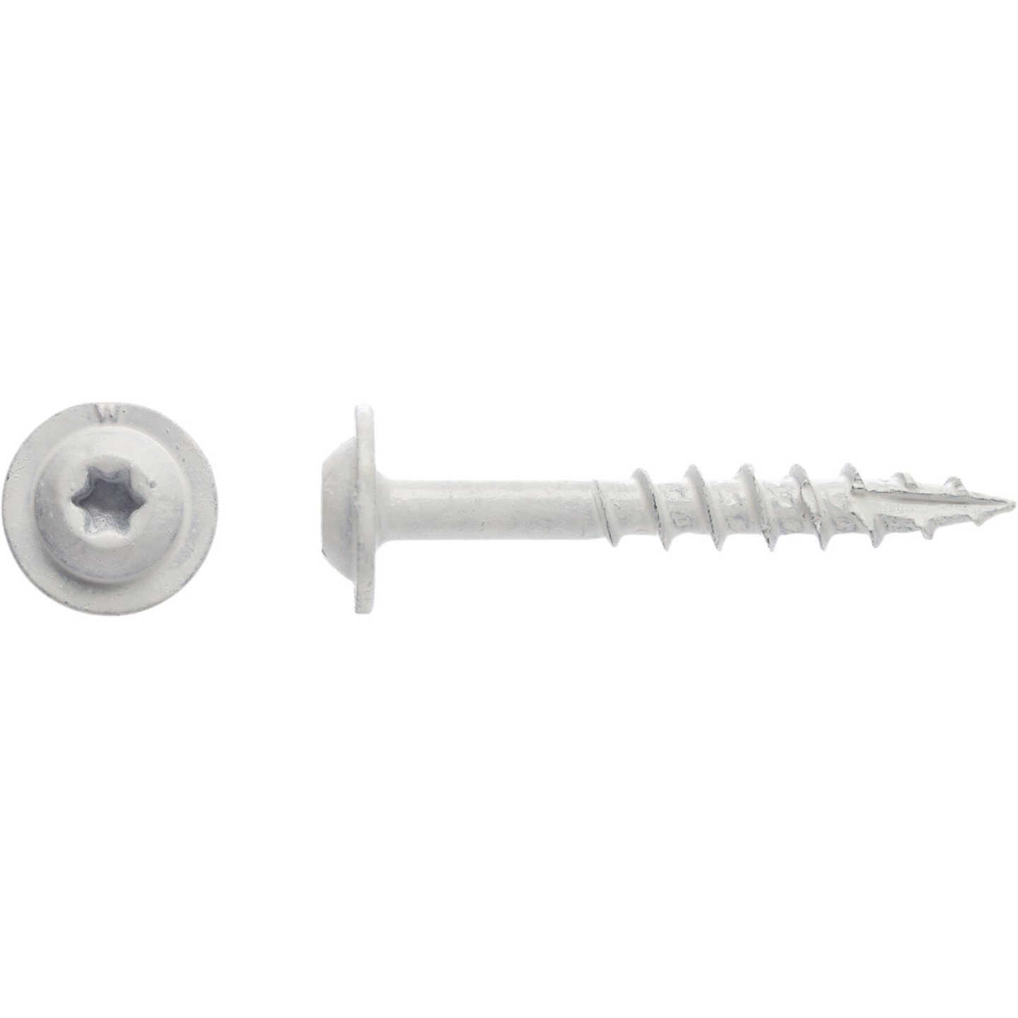 Big Timber #7 x 1-1/4 In. Star Drive Weather Stripping White Wood Screw (1 Lb.) Image 2