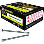 Grip-Rite 3-1/2 In. 16d x 8 ga Smooth Shank Flat Head Bright Common Nail (50 Lb.) Image 1