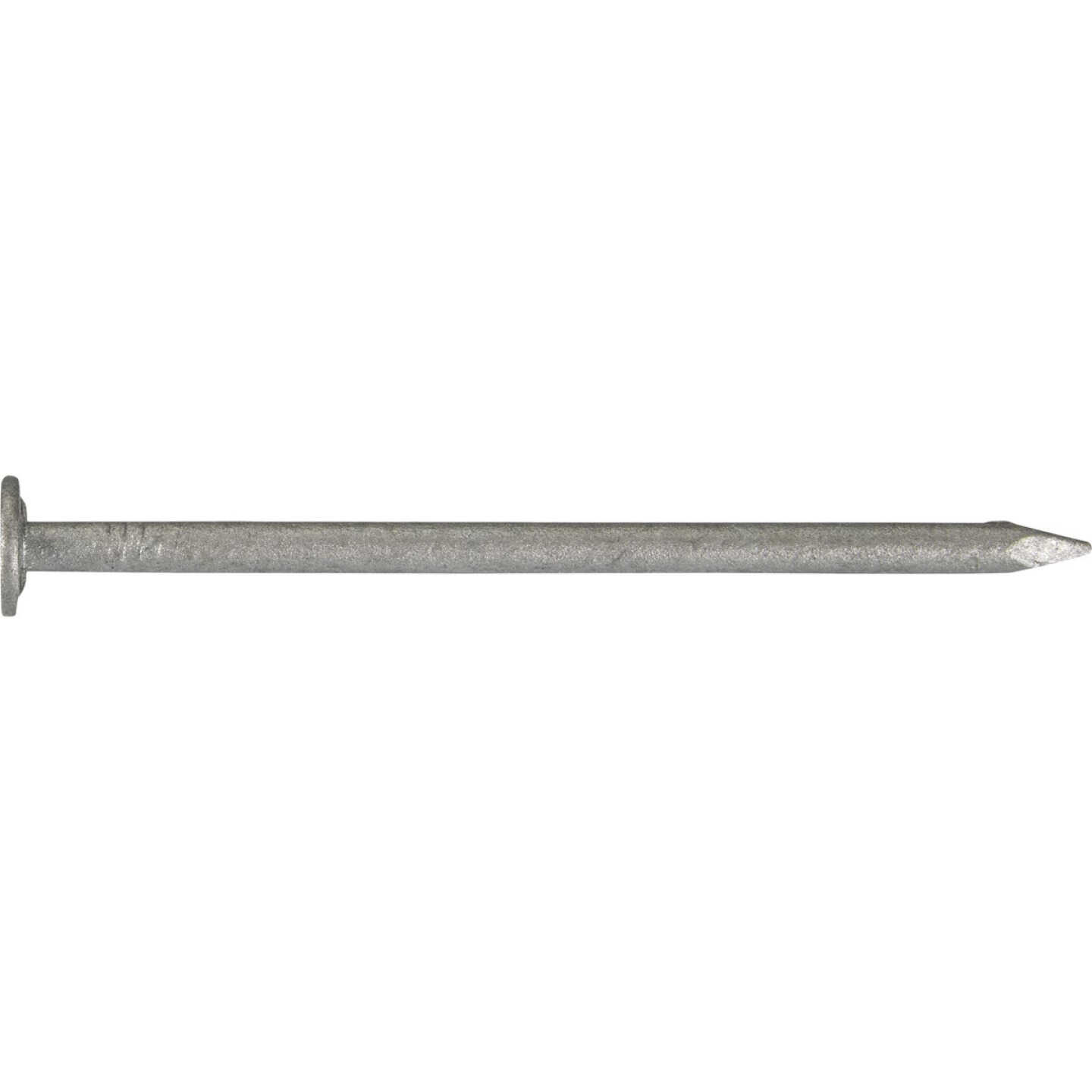 Grip-Rite 2 In. x 12-1/2 ga x 6d Hot Galvanized Box Nails (1180-Count) Image 1