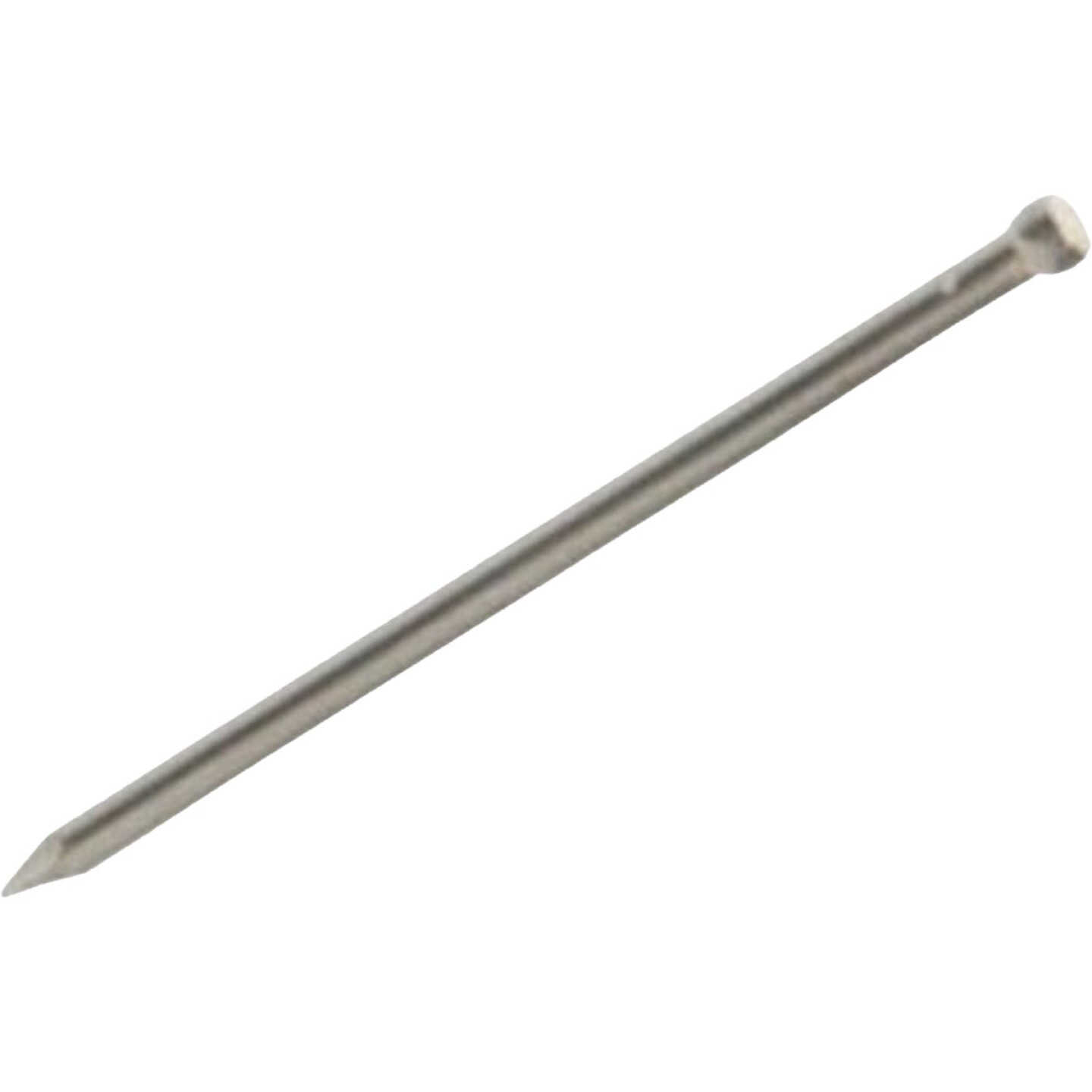 Grip-Rite PrimeGuard Max 2 In. 6d x 13 ga #304 Stainless Steel Common Nail Image 1