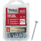 Teks #8 x 2-1/2 In. Modified Truss Head Sharp Point Lath Screw (80-Count) Image 1