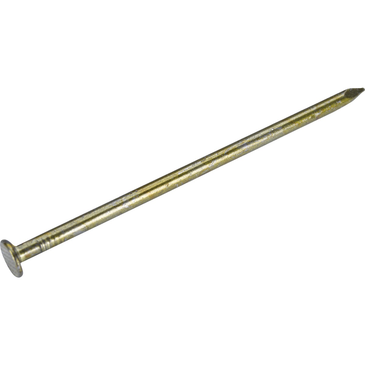 Grip-Rite 2-7/8 In. x 11 ga x 10d Coated Sinker Framing Nails (111-Count) Image 1